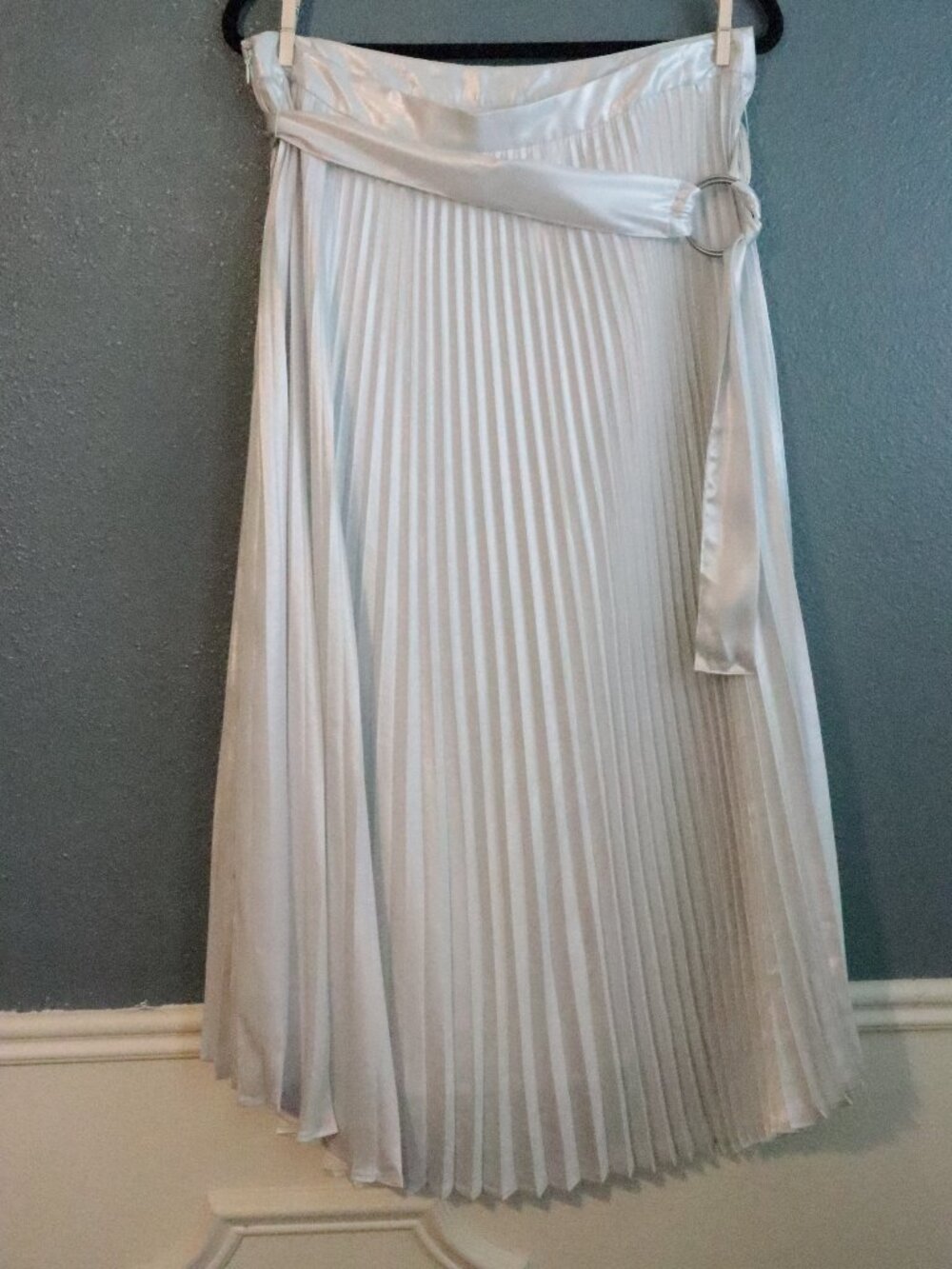 Express Silver Pleaded Skirt